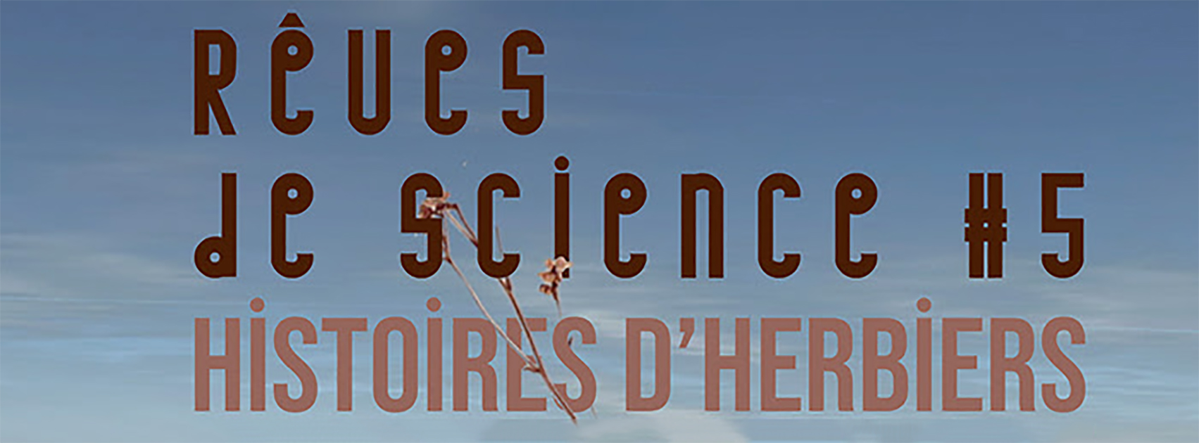 VIDEOFORMES @ Rêves de science