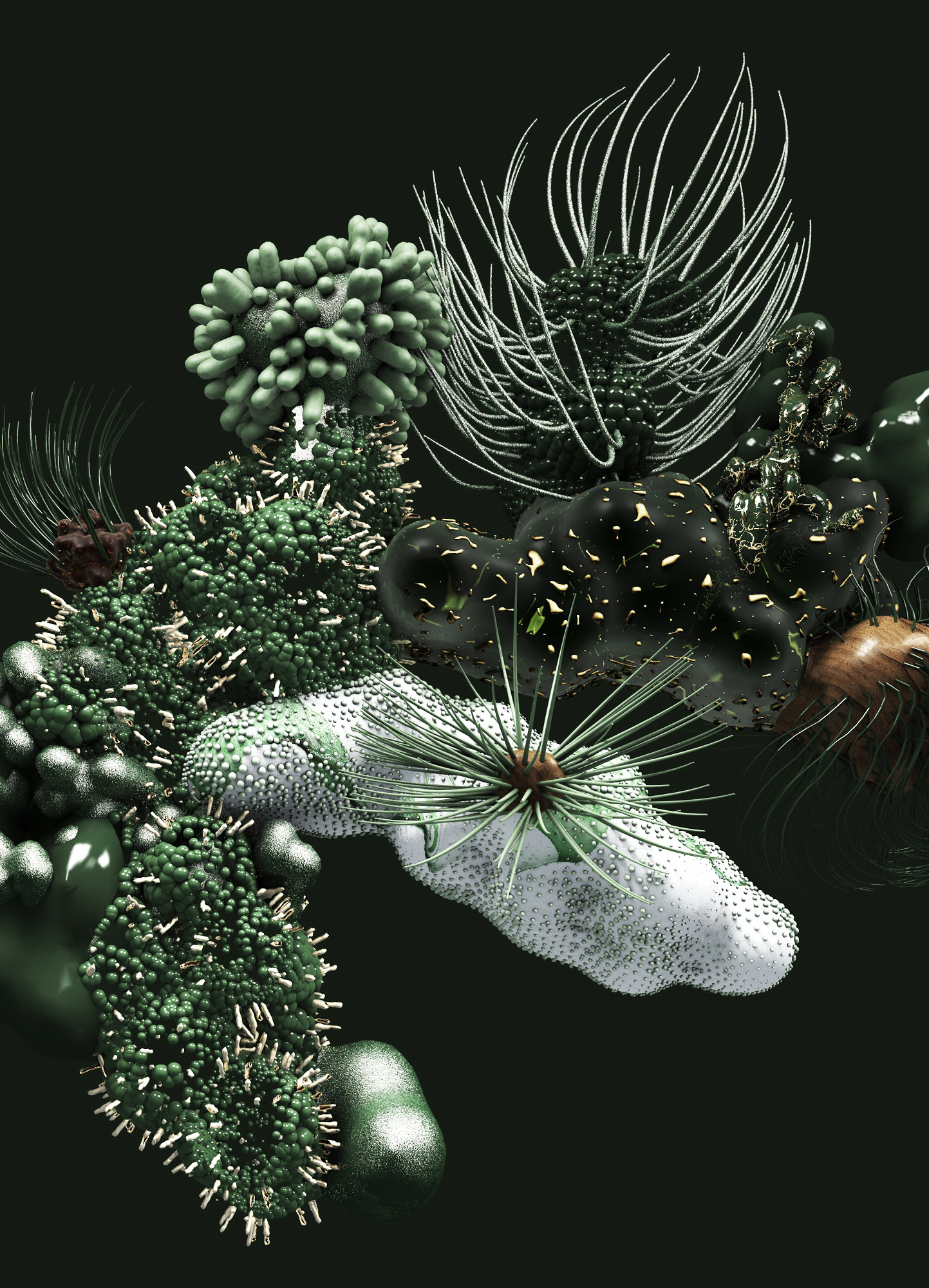 CATALOGUE VIDEOFORMES 2025