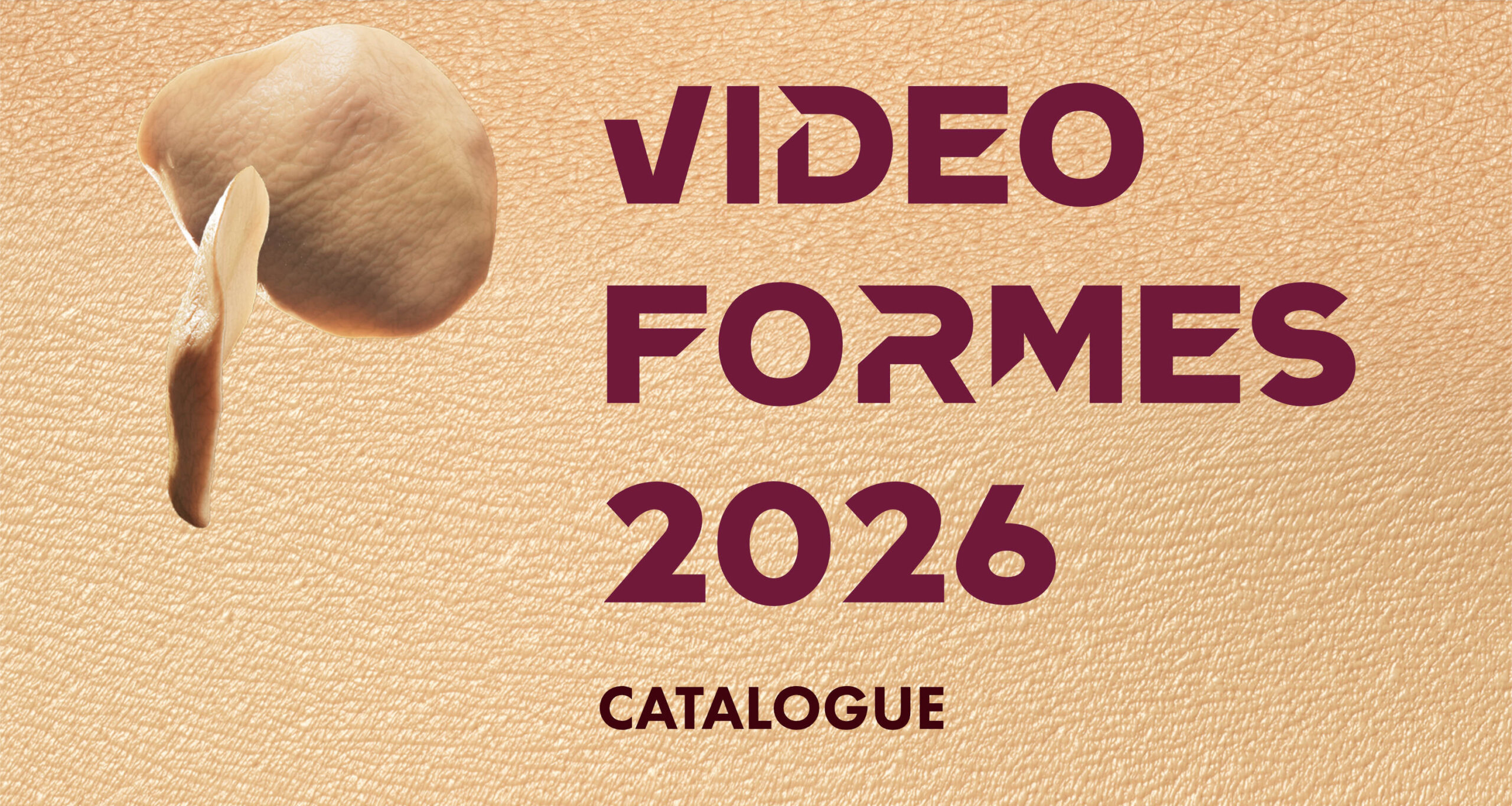 CATALOGUE VIDEOFORMES 2026